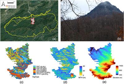 Characterizing spatial burn severity patterns of 2016 Chimney Tops 2 fire using multi-temporal Landsat and NEON LiDAR data
